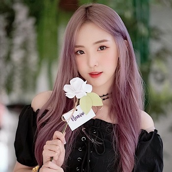 Kamp – Cho Thuê Lều