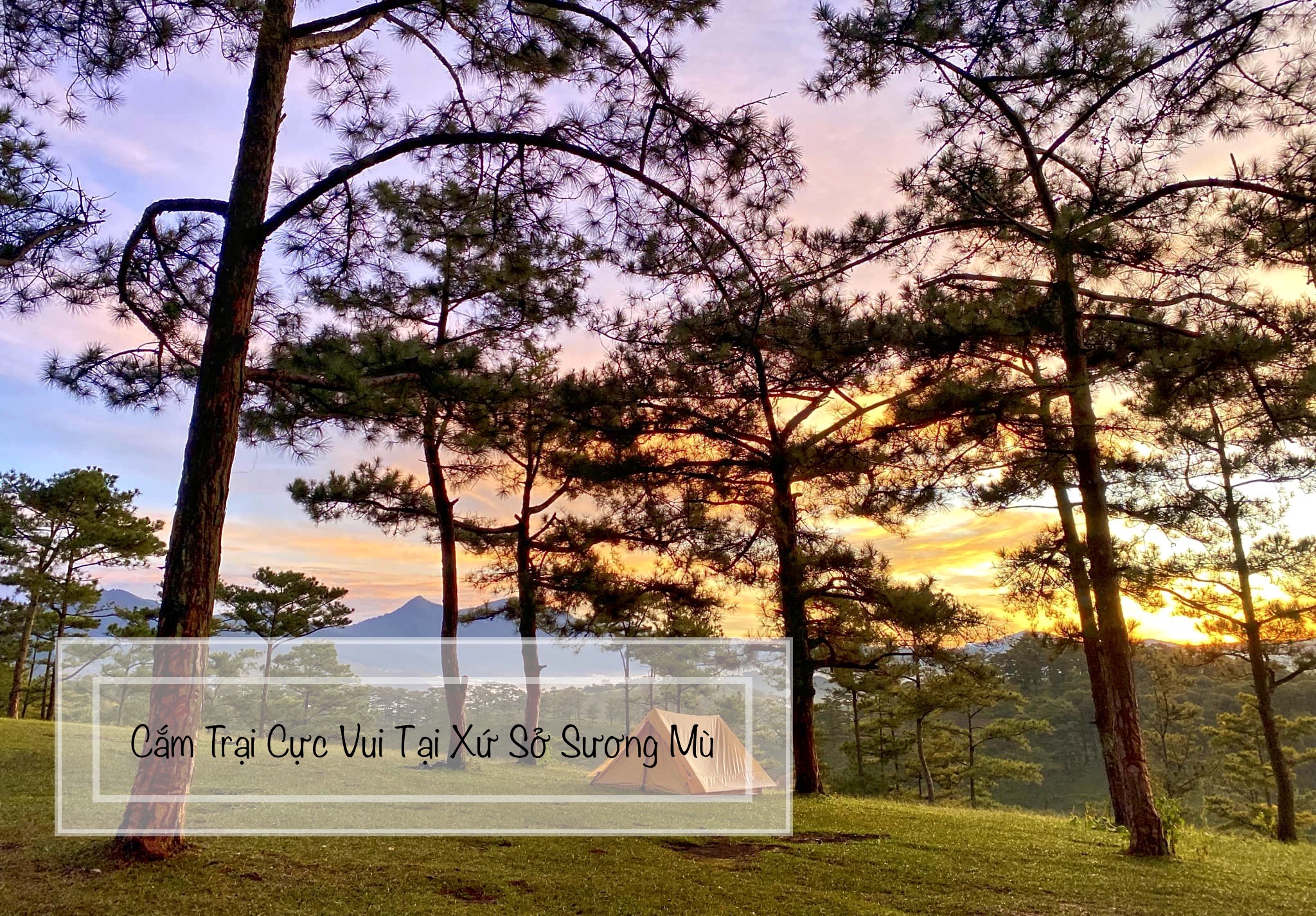 Kamp – Cho Thuê Lều