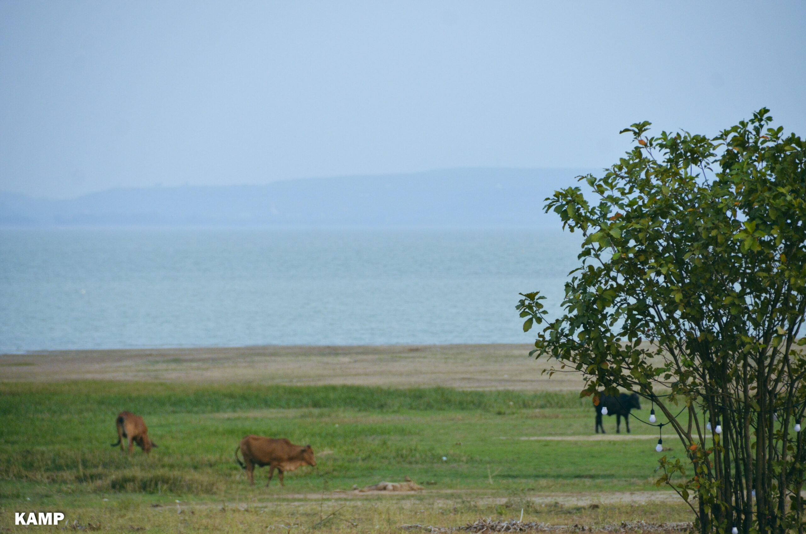 Kamp – Cho Thuê Lều